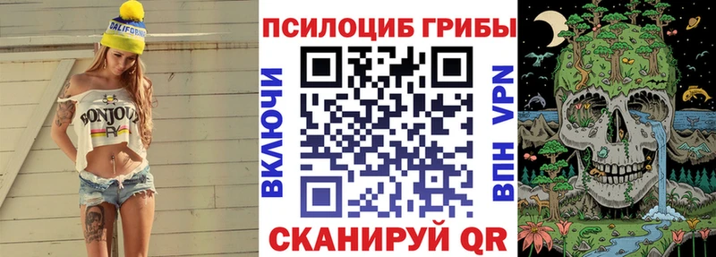Псилоцибиновые грибы ЛСД kraken маркетплейс Евпатория